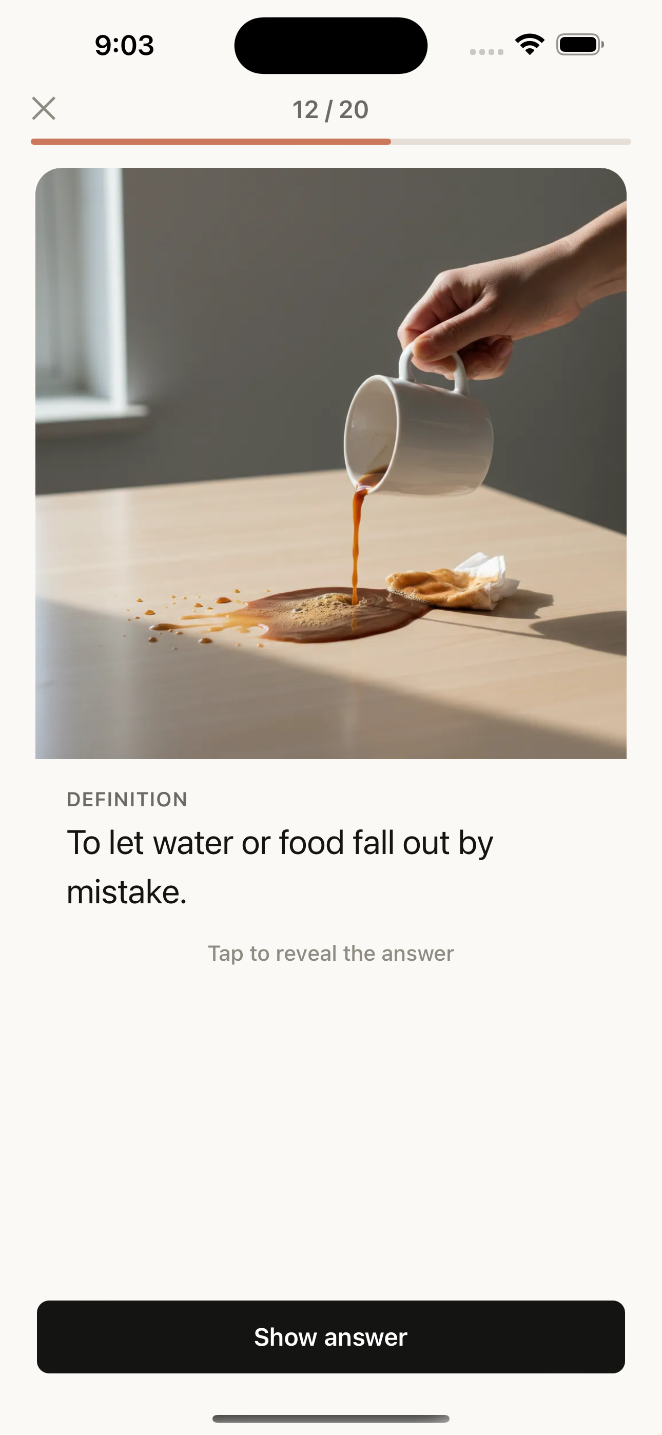Card with only the image and definition visible — the spelling stays hidden so you can recall it first.