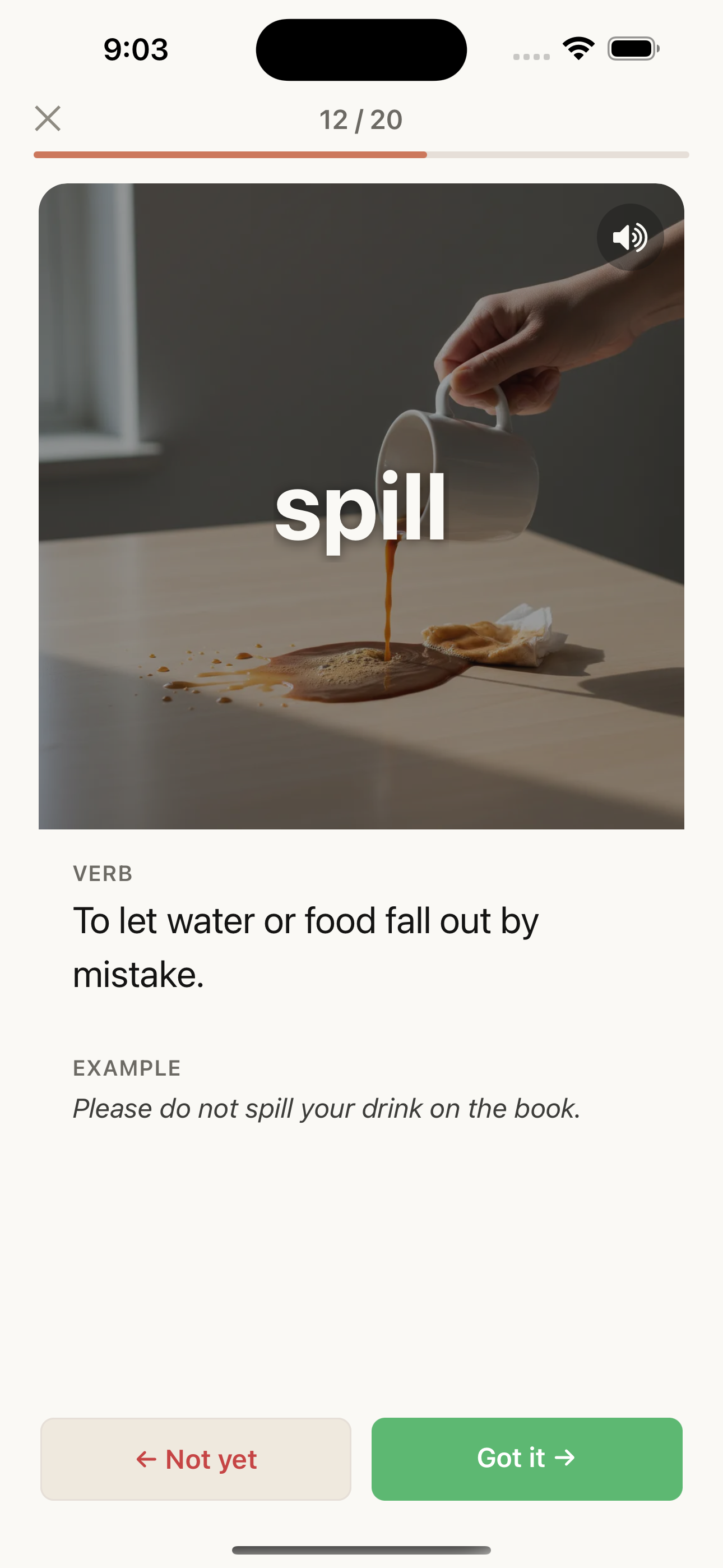 pictan flashcard for the word “spill,” showing the image, definition, example, and Got it / Not yet buttons.