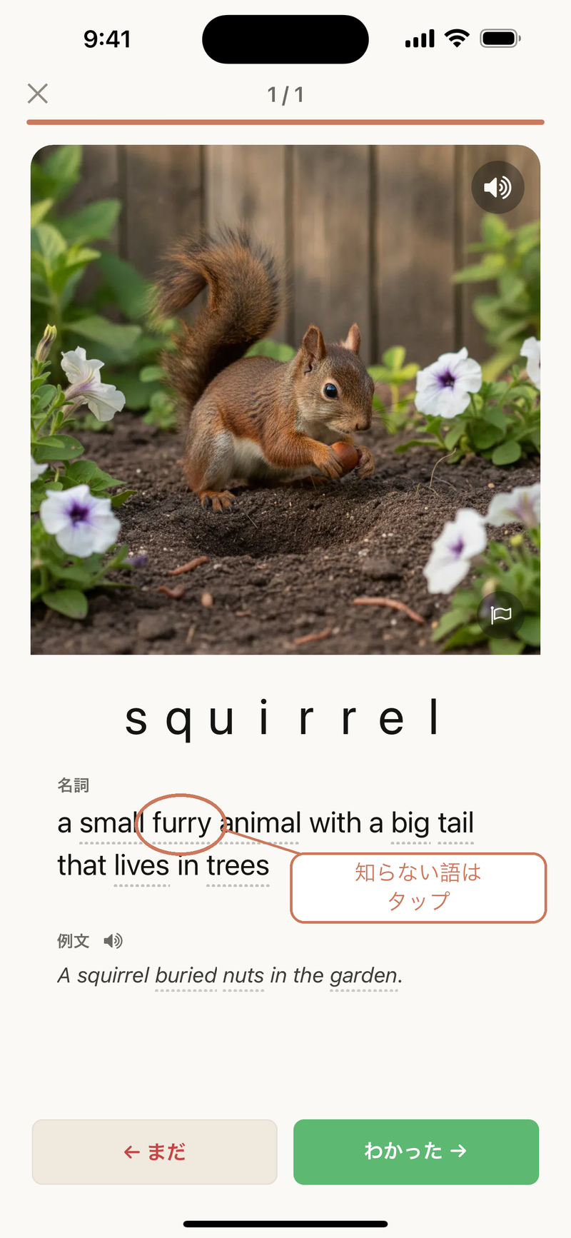 「squirrel」の学習カード。やさしい英語の定義と例文が並び、語の後ろにタップできる印の小さなドットがついている。