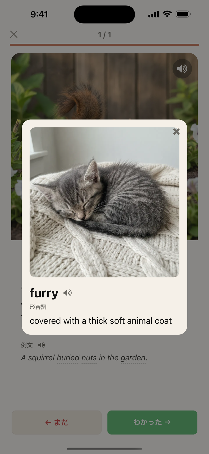 「furry」をタップした直後。やわらかな毛の動物の画像つきポップアップが開き、品詞と意味が表示されている。